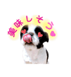 さぁちんず（個別スタンプ：2）