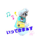 さぁちんず（個別スタンプ：26）