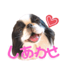 さぁちんず（個別スタンプ：27）