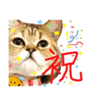 ぺこぽこステッカー3（個別スタンプ：12）
