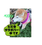 柴女の日常part2（個別スタンプ：10）