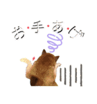 柴女の日常part2（個別スタンプ：13）