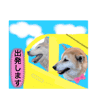 柴女の日常part2（個別スタンプ：16）