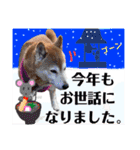 柴女の日常part2（個別スタンプ：22）