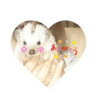 モグのすけ（個別スタンプ：6）