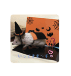 モグのすけ（個別スタンプ：7）