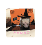 モグのすけ（個別スタンプ：8）