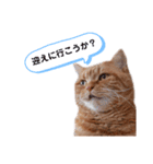 ビスくんのスタンプ②（個別スタンプ：4）