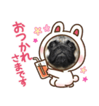 パグのメル～日常編vol.2～（個別スタンプ：17）