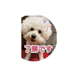 ふぅちゃんと愉快な仲間（個別スタンプ：6）