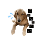 Mocha Part1（個別スタンプ：5）