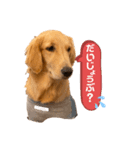 Mocha Part1（個別スタンプ：6）