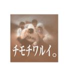 映像科には手を出すな！（個別スタンプ：23）