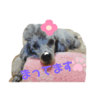 畑家のペット（個別スタンプ：1）