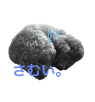 畑家のペット（個別スタンプ：3）