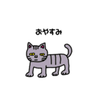 きもかわにゃんこ（個別スタンプ：5）