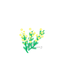ephemeral flower（個別スタンプ：4）