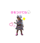 みわたんスタンプ2（個別スタンプ：17）