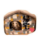 白と茶（個別スタンプ：9）