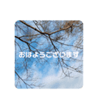 きままスタンプ4（個別スタンプ：1）