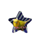 インコちゃん（くぅ）（個別スタンプ：4）
