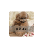 ポノちゃんスタンプその9（個別スタンプ：4）