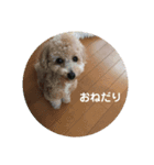 ポノちゃんスタンプその9（個別スタンプ：5）