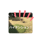ポノちゃんスタンプその9（個別スタンプ：8）