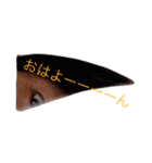 美女っていいよね…（個別スタンプ：1）