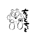 プードル(白)（個別スタンプ：8）