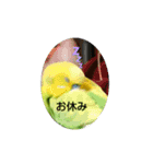 インコちゃん2弾（個別スタンプ：5）