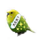 インコちゃん2弾（個別スタンプ：15）