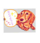 ダックスくんの日常❣️（個別スタンプ：5）