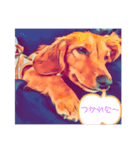 ダックスくんの日常❣️（個別スタンプ：6）
