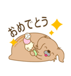 まみんこのナメたんスパニエルスタンプ（個別スタンプ：20）