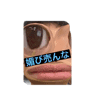 サワになりたいかわしまだよ（個別スタンプ：7）