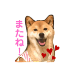小夏♡（個別スタンプ：13）