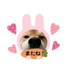 小夏♡（個別スタンプ：14）