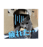 ぴっころのスタンプ2（個別スタンプ：7）