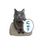 ぴっころのスタンプ2（個別スタンプ：11）