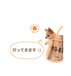 Chihuahua Cocoro_2（個別スタンプ：7）