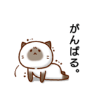 ダラダラねこ。（個別スタンプ：3）