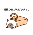 ダラダラねこ。（個別スタンプ：16）