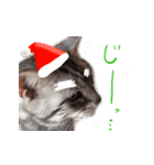 全ての猫好きにおくるお正月＆クリスマス（個別スタンプ：27）