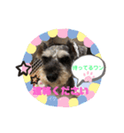 うちの保護っ子♡（個別スタンプ：2）