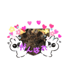 うちの保護っ子♡（個別スタンプ：7）