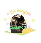 うちの保護っ子♡（個別スタンプ：10）