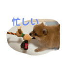 ぽぬたん3（個別スタンプ：16）