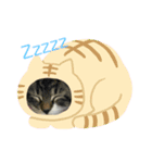 子猫のシフォン様スタンプその①〜日常編〜（個別スタンプ：2）