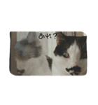 ねこたんねこまんオリジナルスタンプ第8段（個別スタンプ：5）